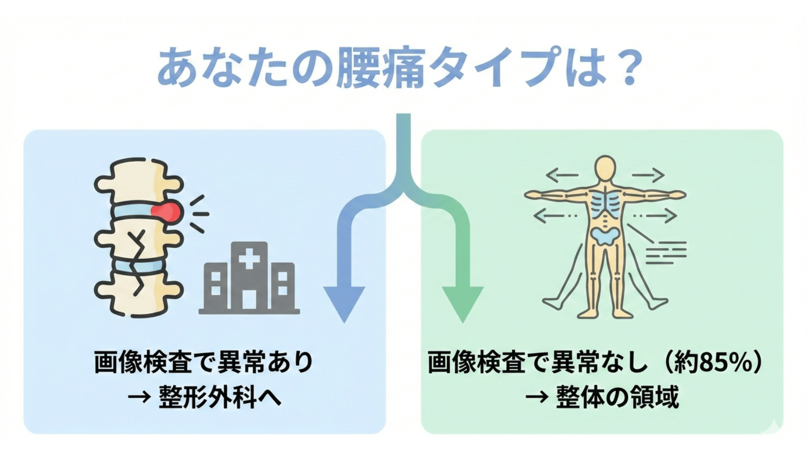 腰痛タイプ別の最適な選択肢